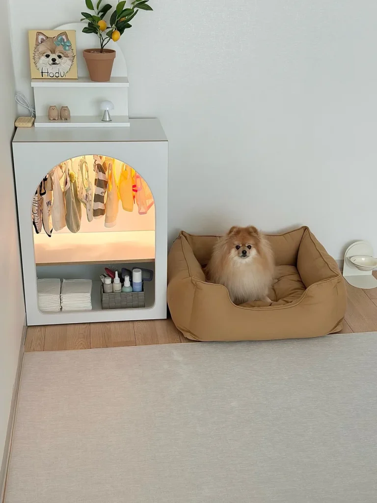 Lit arched wardrobe cabinet beside a tan bolster dog bed
