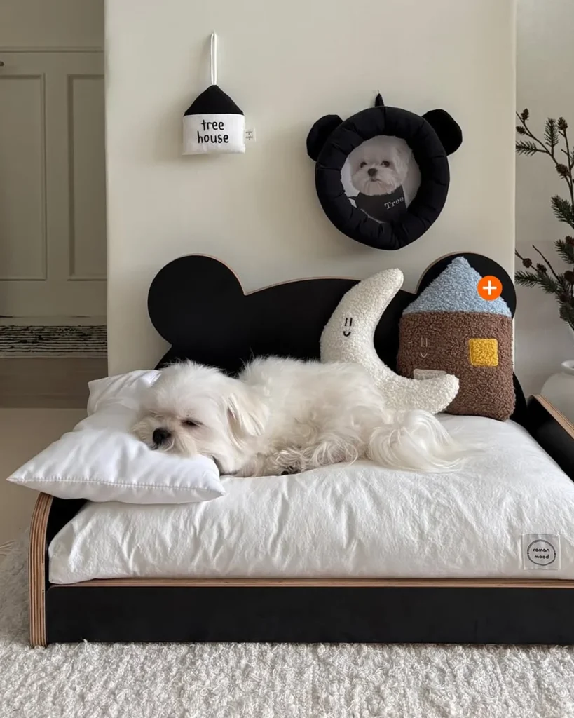 Black rounded ear dog bed frame with round photo frame wall decor