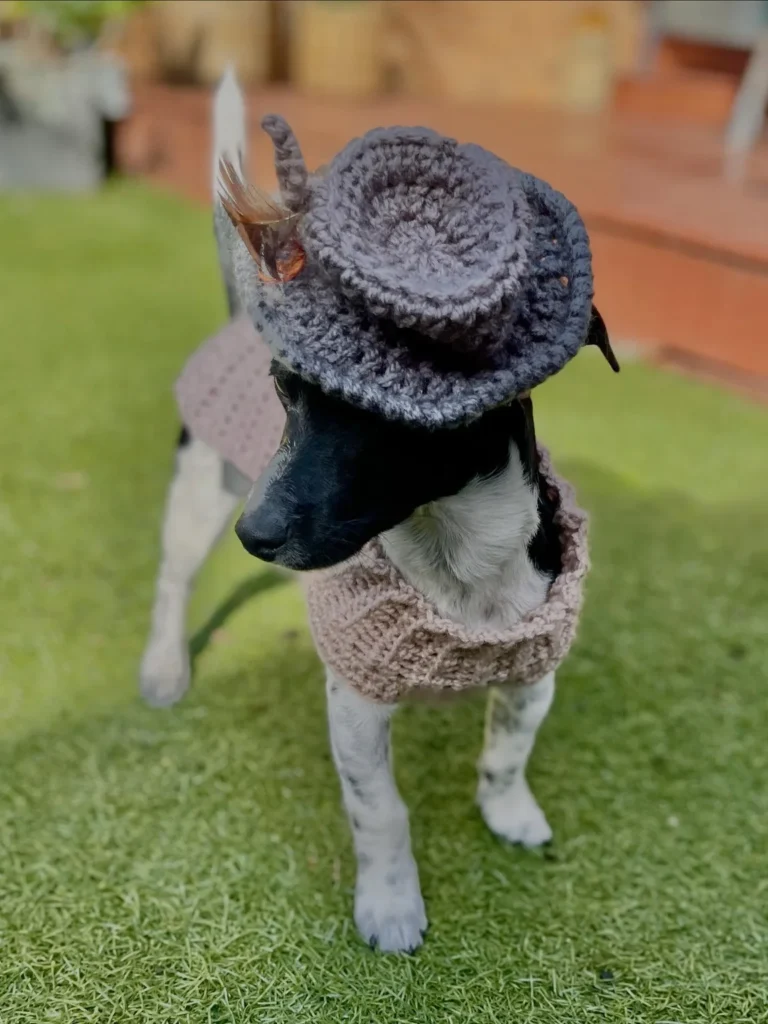 Mini crochet top hat with feather and ties