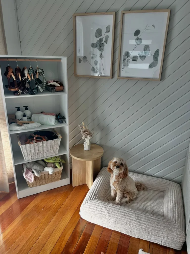 Mudroom style shelf with harnesses and dog bed, a Dog Room Decor DIY idea