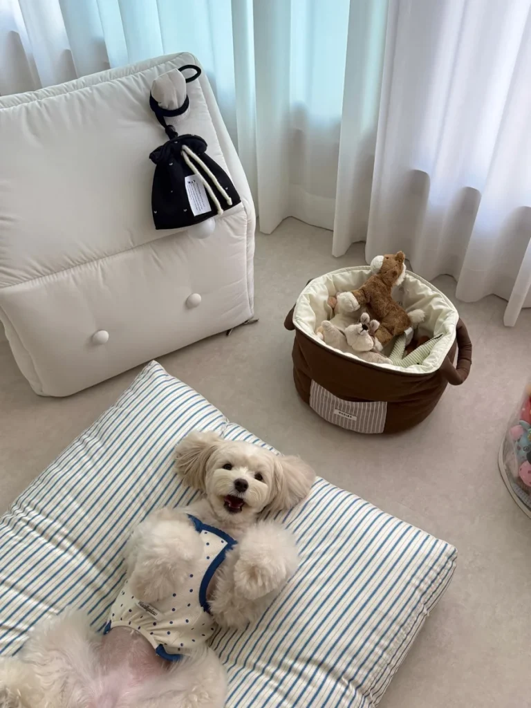 Cream tufted ottoman style dog bed with plush toy storage basket