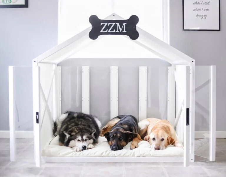 Open frame double dog house bed for multiple dogs