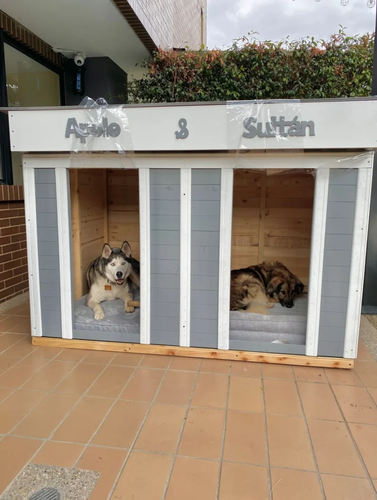 Modern double dog house idea with custom name sign