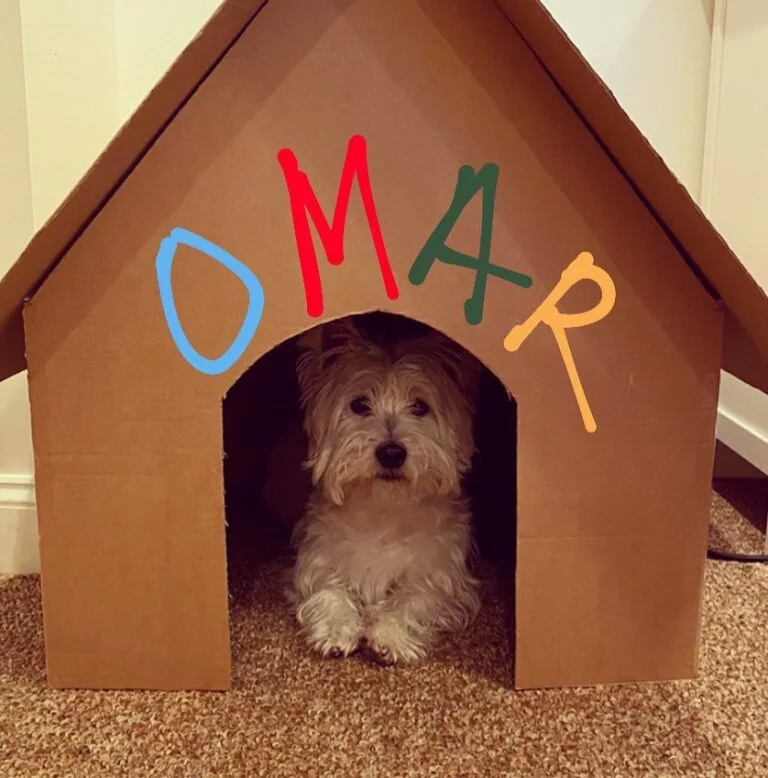 Personalized paper dog house idea with hand drawn dog name