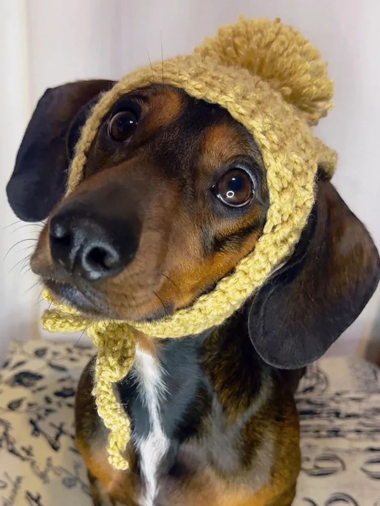 Crochet Dog Hat Tutorials bonnet with ear flaps
