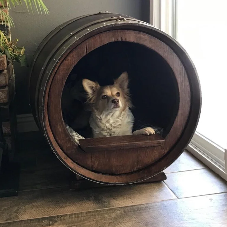 Repurposed wine barrel turned into a luxury dog house