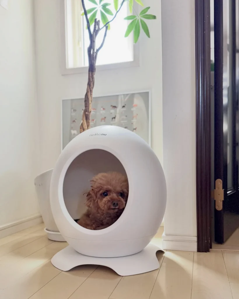 Smart egg shaped pod style luxury dog house