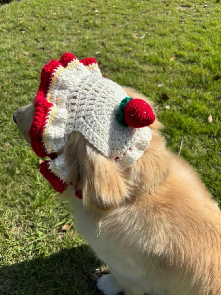 Strawberry shortcake ruffle crochet dog hat idea