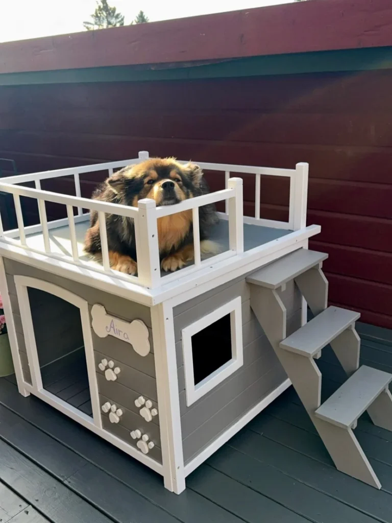 Two story dog house with rooftop terrace and railing