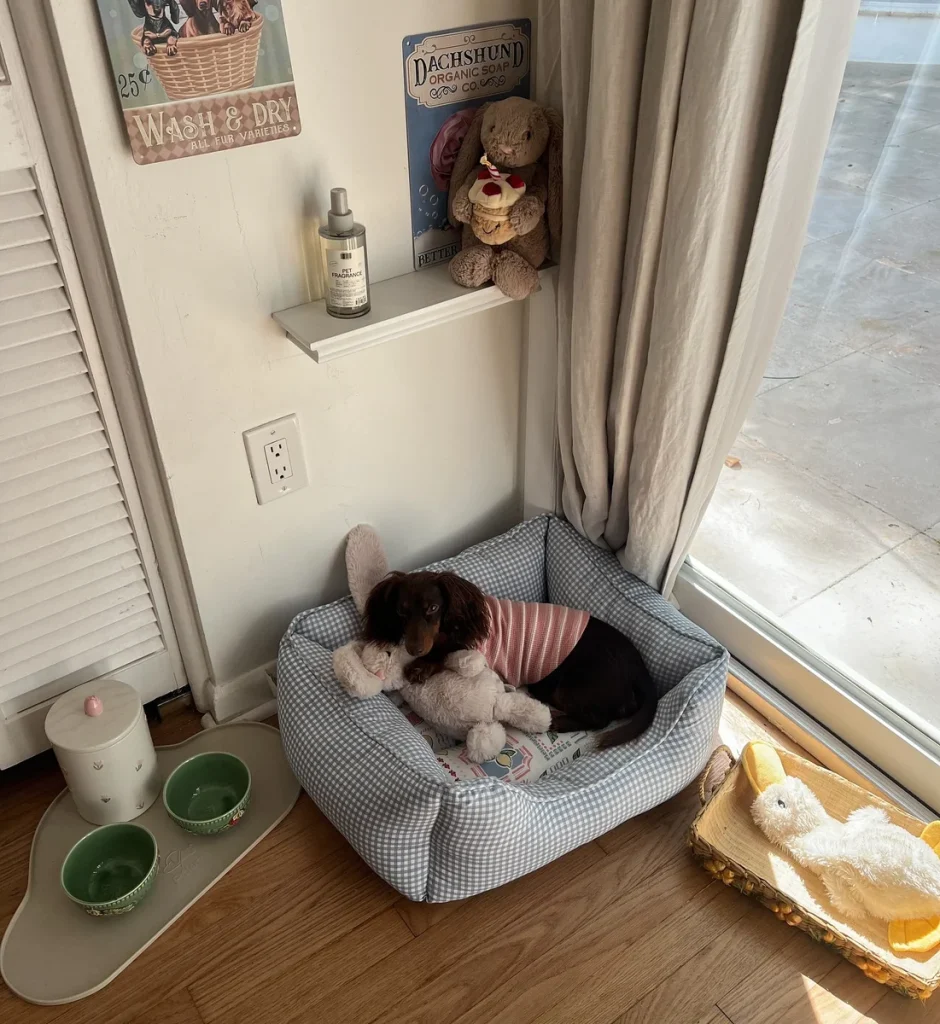 Vintage dachshund themed dog bed corner with retro cottage signage