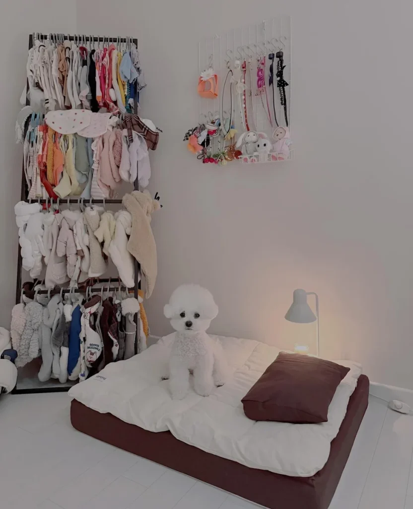 Walk in wardrobe with hanging clothes and a platform dog bed