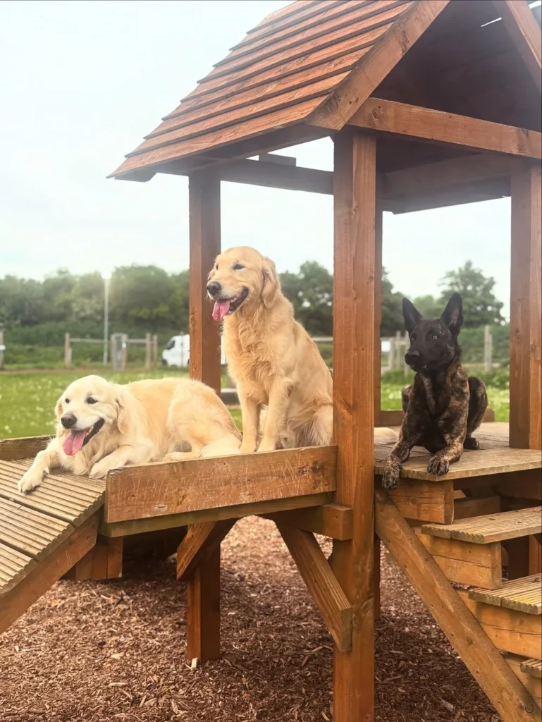 Wooden lookout gazebo shade structure for dogs resting