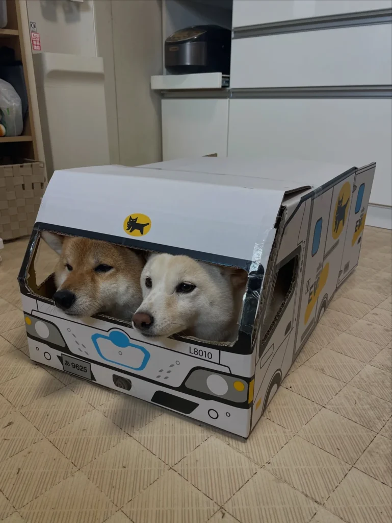 Front view of creative paper dog house idea shaped like a truck