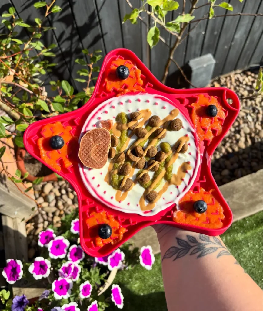 Lick mat recipes for dogs with yogurt sweet potato and kibble