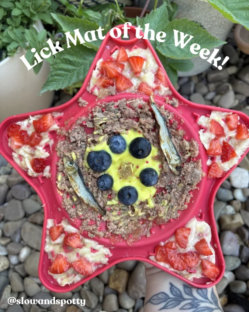Puppy lick mat recipe with strawberries blueberries and sprats