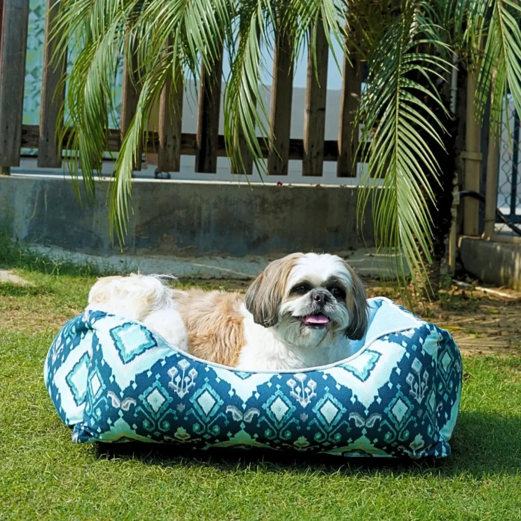 Shih tzu on a boho ikat print outdoor bolster bed