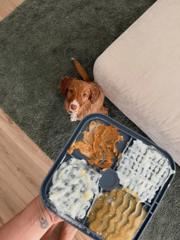 Puppy lick mat recipes with banana yogurt and peanut butter