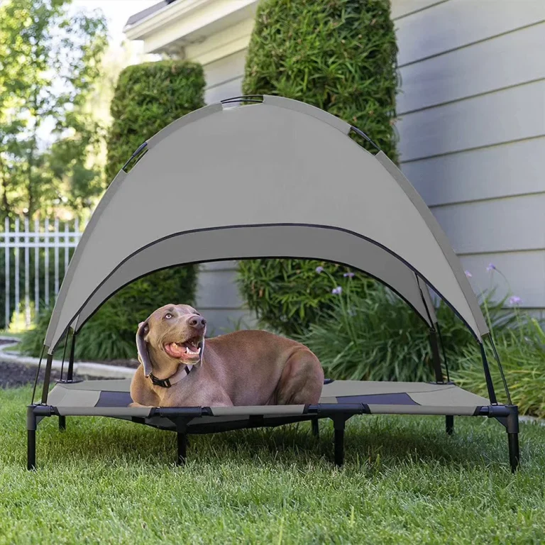 Weimaraner on an outdoor dog bed with roof shaped like a dome