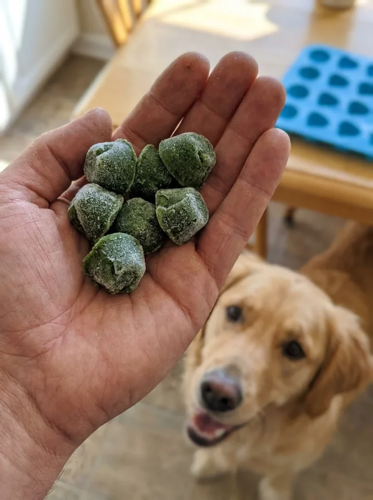 Spinach mint dog breath treats held in hand