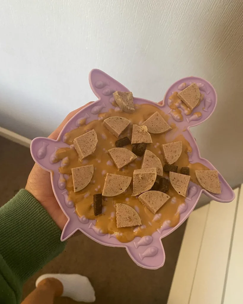 Puppy lick mat recipes for hot weather with fruit and yogurt