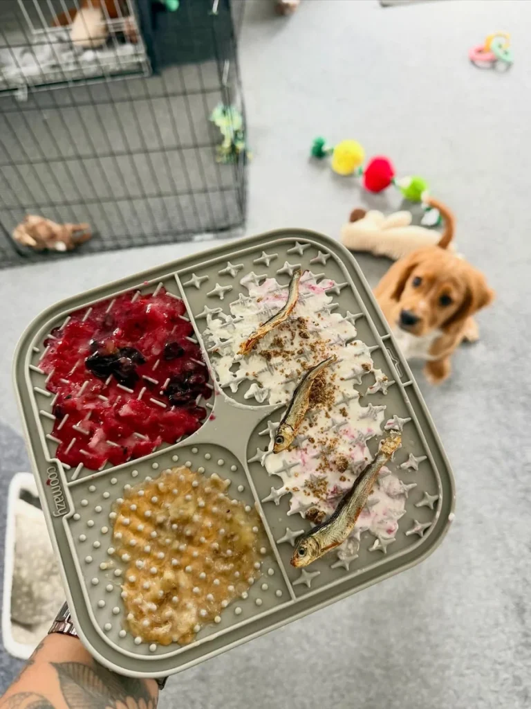 Frozen lick mat recipes for puppies with berries and yogurt