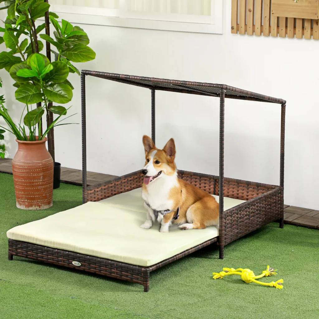 Corgi on an outdoor dog bed canopy with open post rattan frame