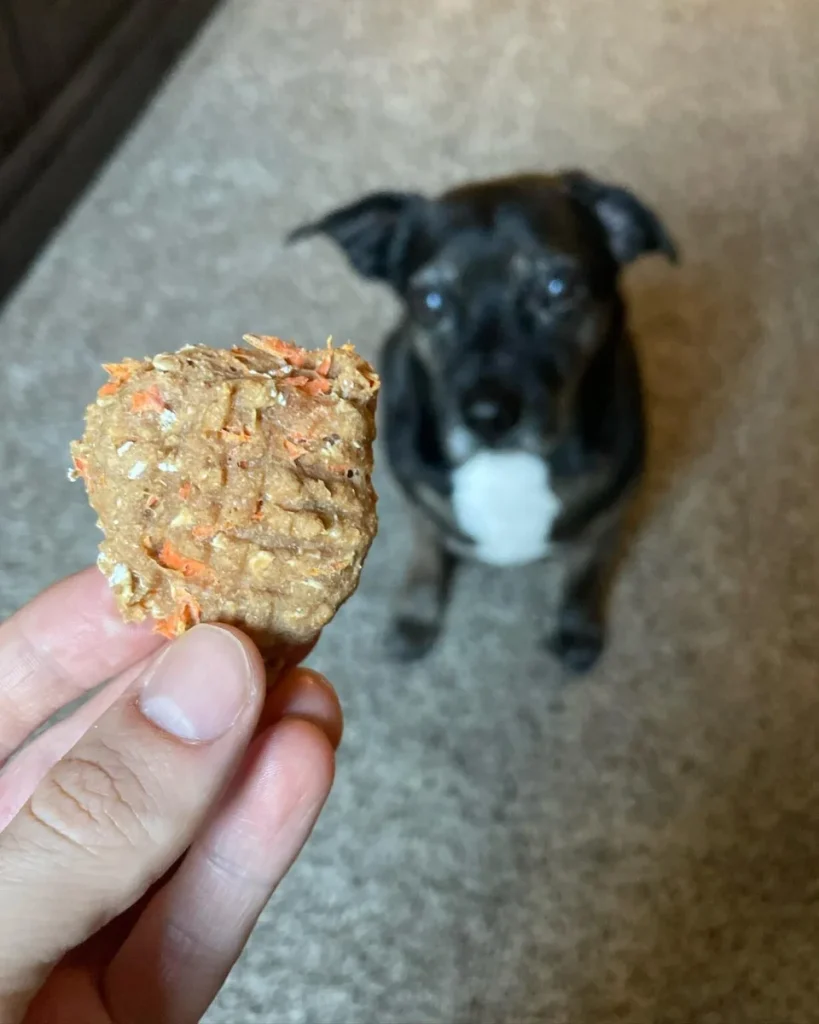 Peanut butter carrot oat treat, an easy carrot dog treats snack for pups