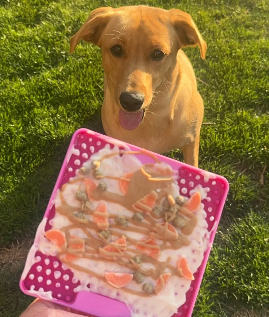 Frozen dog lick mat recipe with carrots yogurt and peanut butter