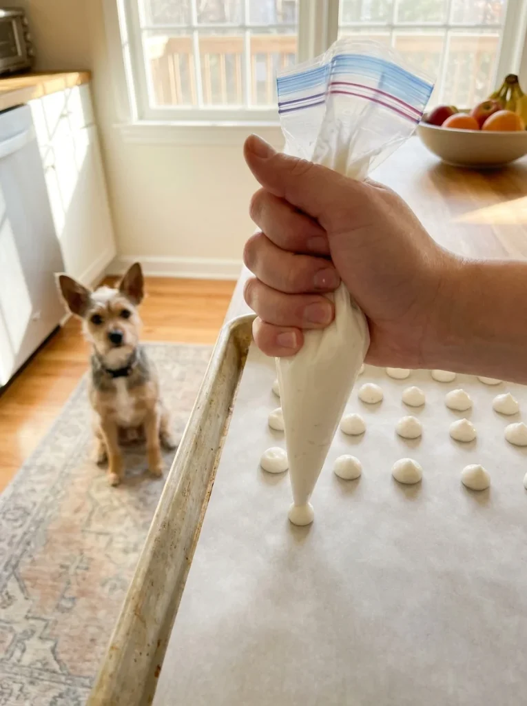 piped coconut yogurt drops for dog training treats