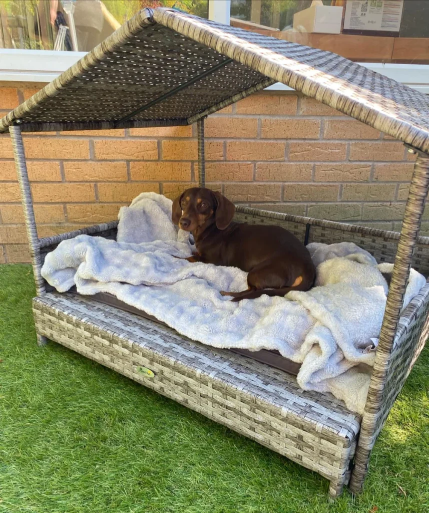 Outdoor dog bed with roof featuring a pitched wicker canopy
