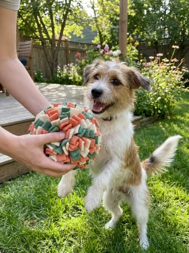 Finished fluffy fleece toy ready for a dog to play with