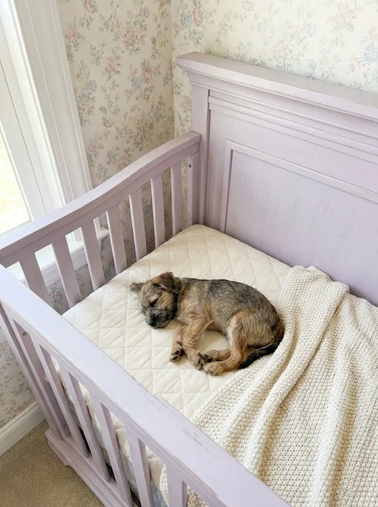 Pastel Crib Mattress Dog Bed Ideas in a nursery style room