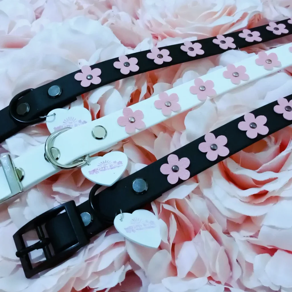 Leather dog collars decorated with pink flower rivets