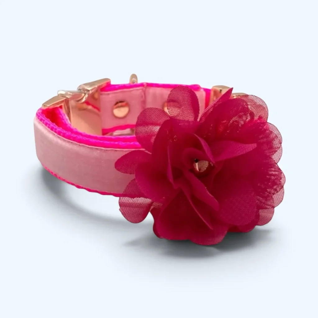 Pink velvet floral dog collar with chiffon flower accent