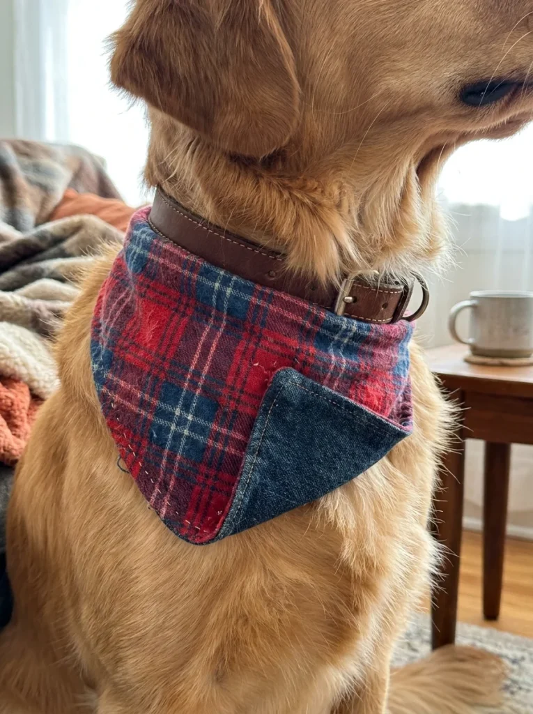Over the Collar Dog Bandana Sewing Inspirations reversible plaid style